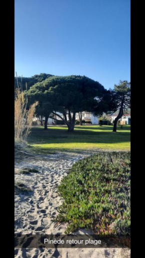 Location appartement les pieds dans l'eau, Résidence Aqua Linda à Poggio-Mezzana